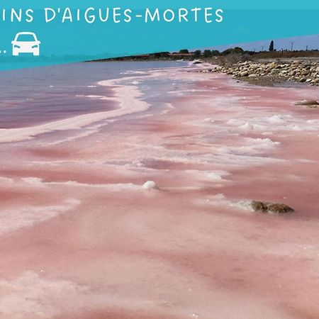 Le Flamant Rose - Cosykaz Apartamento Aigues-Mortes Exterior foto