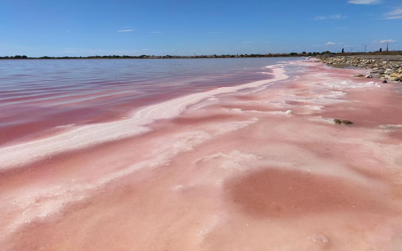 Le Flamant Rose - Cosykaz Apartamento Aigues-Mortes Exterior foto
